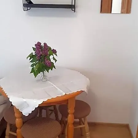 度假村 Osrodek Wypoczynkowy Helena *